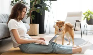 Kobieta z psem Shiba Inu pracuje na laptopie, siedząc na podłodze. Może szukać informacji o tym, jak zostać dobrym wynajmującym.