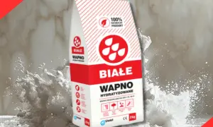 Białe wapno budowlane w worku, otoczone chmurą pyłu. Idealne do prac remontowych.