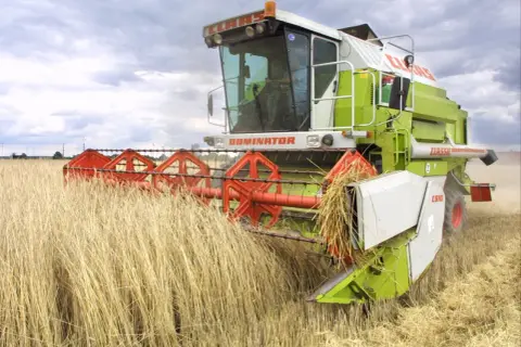 Kombajn zbożowy Claas Dominator w akcji, zbierający plony z pola. Dzierżawa ziemi w pełnym rozkwicie.