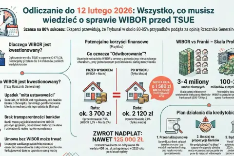 Grafika omawia sprawę **wibor tsue**, potencjalne korzyści finansowe i działania dla kredytobiorców.