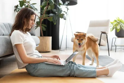 Kobieta z psem Shiba Inu pracuje na laptopie, siedząc na podłodze. Może szukać informacji o tym, jak zostać dobrym wynajmującym.
