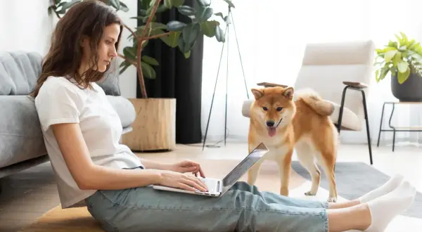 Kobieta z psem Shiba Inu pracuje na laptopie, siedząc na podłodze. Może szukać informacji o tym, jak zostać dobrym wynajmującym.