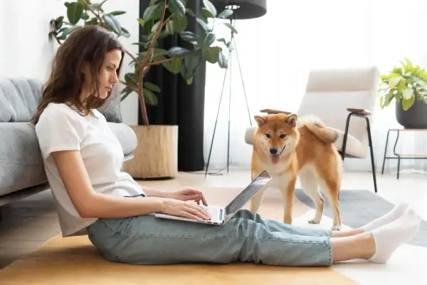 Kobieta z psem Shiba Inu pracuje na laptopie, siedząc na podłodze. Może szukać informacji o tym, jak zostać dobrym wynajmującym.